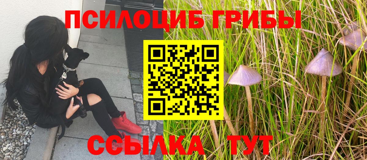 Галлюциногенные грибы GOLDEN TEACHER Среднеуральск